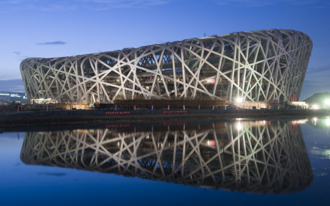 Bird's Nest